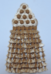 MOSQUERO DE SEDA TRADICIONAL