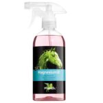 ACEITE DE MAGNESIO BENSE & EICKE