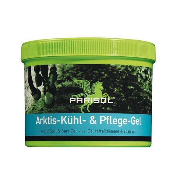 ARKTIS-GEL (GEL DE TENDONES) BENSE & EICKE