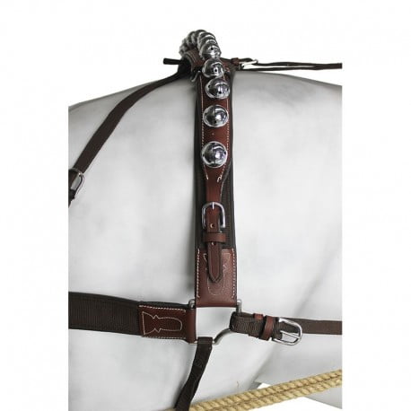 ENGANCHE CALESERO NYLON-CUERO