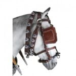 ENGANCHE CALESERO NYLON-CUERO
