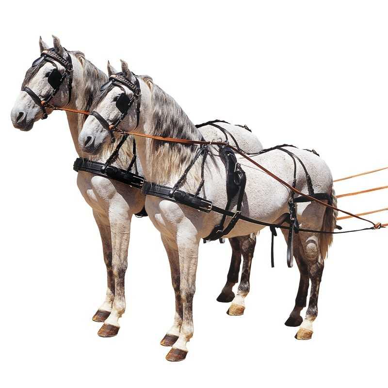 ENGANCHE CON PECHOPETRAL EXTRA PARA DOS CABALLOS