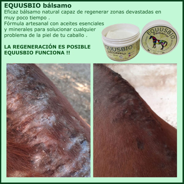 BÁLSAMO EQUUSBIO