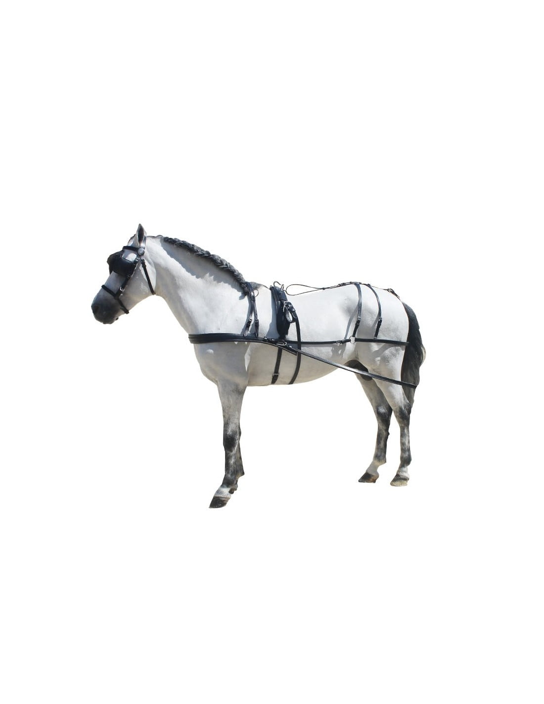 ENGANCHE PONY SHETLAND