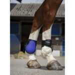 PROTECTORES DE MENUDILLO PARA PONY NORTON