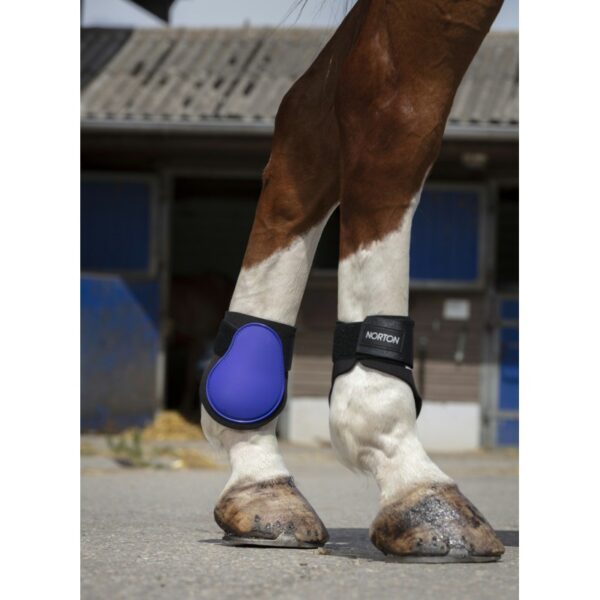 PROTECTORES DE MENUDILLO PARA PONY NORTON