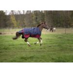 MANTA EXTERIOR IMPERMEABLE EQUITHÈME "TYREX 1200 D" POLYFIL 50g