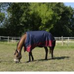 MANTA EXTERIOR IMPERMEABLE EQUITHÈME "TYREX 1200 D" POLYFIL 50g