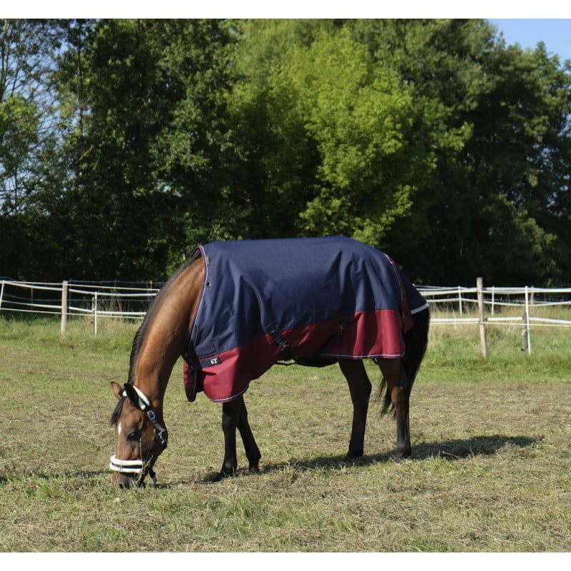 manta-equitheme-tyrex-1200-d (4)