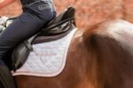 SUDADERO PONY WINDEREN