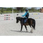PROTECCIÓN DORSAL EQUITHÈME "MESH"