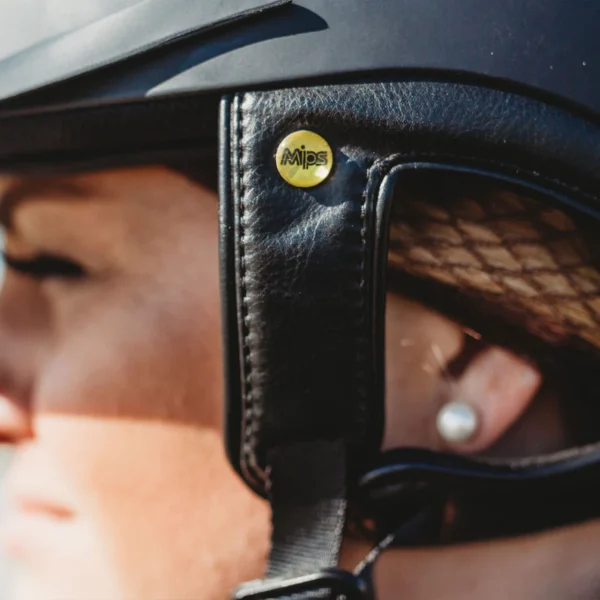 CASCO EQ3 BACK ON TRACK LYNX