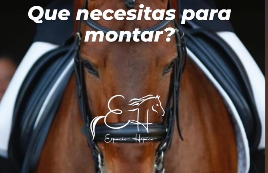 Que necesito para montar