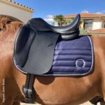 SILLA DOMA OMEGA PUENTES INTERCAMBIABLES