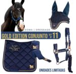 CONJUNTO Nº11 GOLD EDITION DOMA M+C+R+M+V