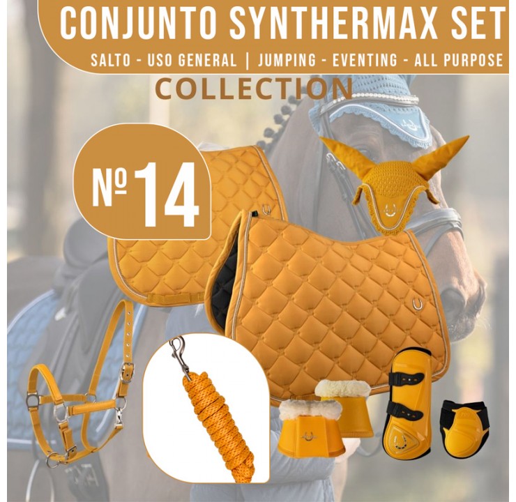 CONJUNTO Nº14 SYNTHERMAX SALTO/U-G M+C+R +P+C