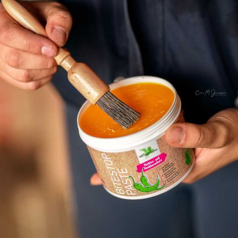 horse-stop-paste-bense-eicke (1)