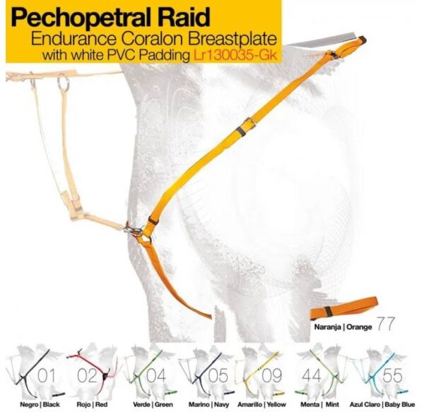 PECHOPETRAL RAID LR130035