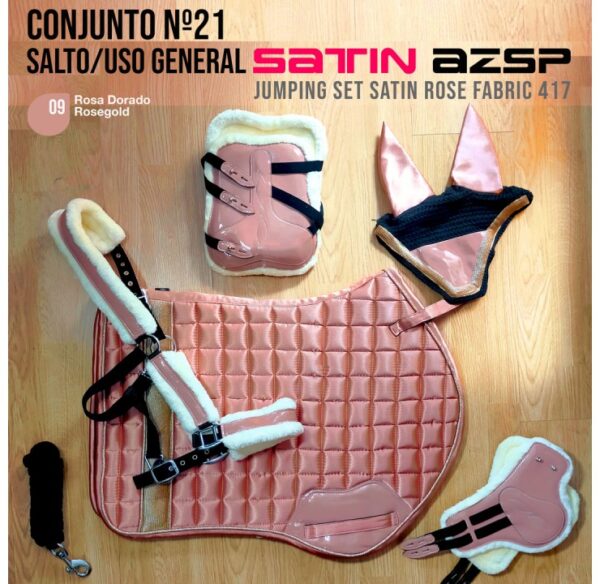 CONJUNTO Nº21 SALTO/USO GENERAL SATIN AZSP 417