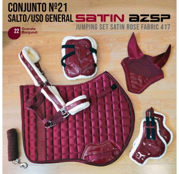 CONJUNTO Nº21 SALTO/USO GENERAL SATIN AZSP 417