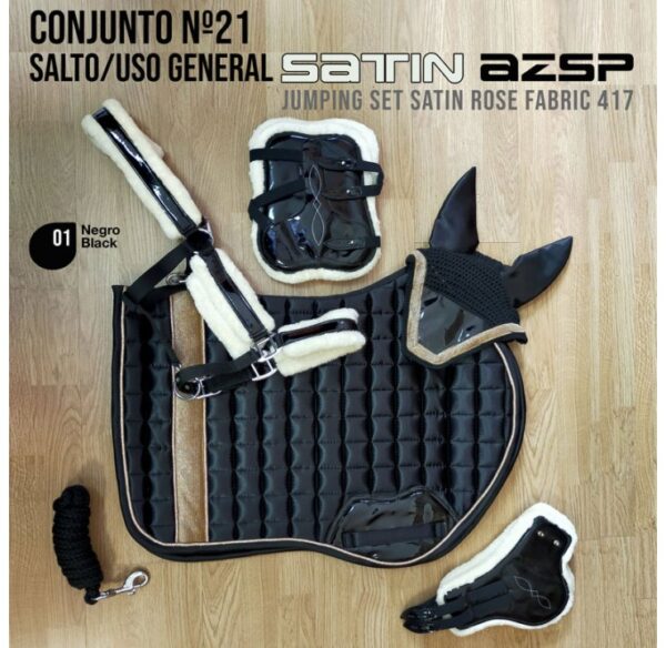 CONJUNTO Nº21 SALTO/USO GENERAL SATIN AZSP 417