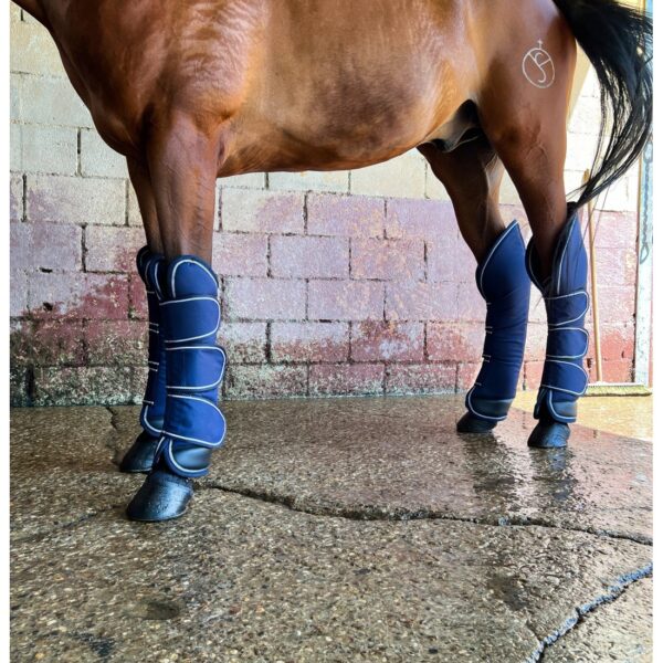 PROTECTOR DE TRASPORTE (Par)