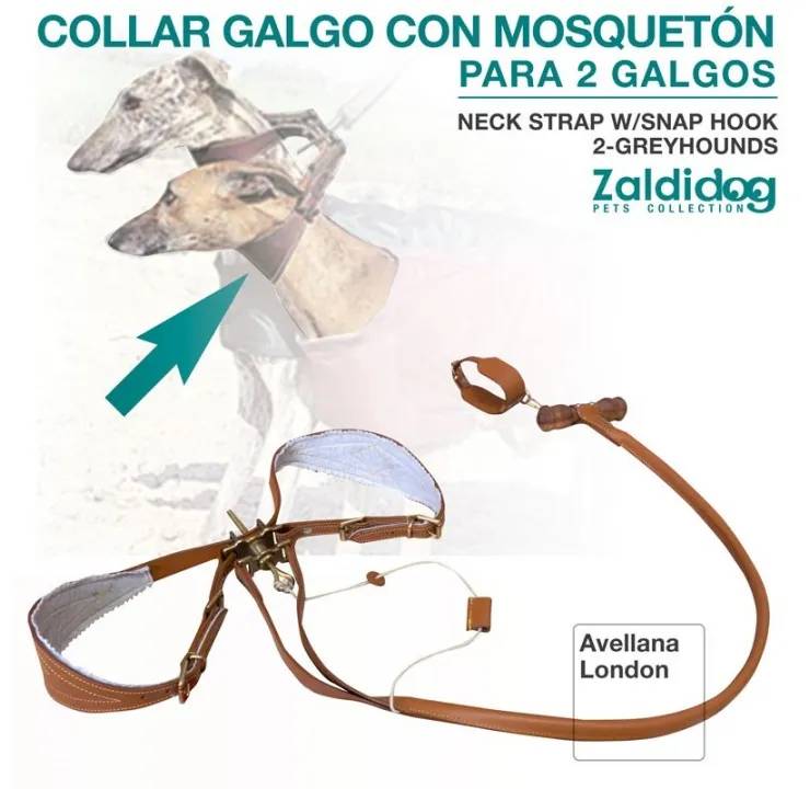 PERRO COLLAR GALGO CON MOSQUETÓN PARA 2 GALGOS