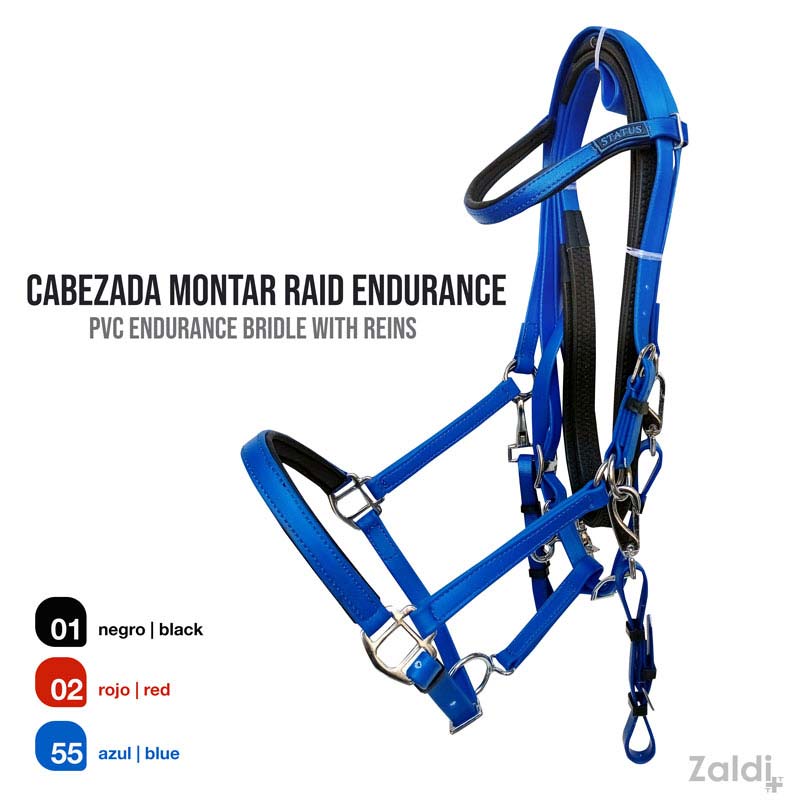 CABEZADA MONTAR RAID ENDURANCE AZBT 790